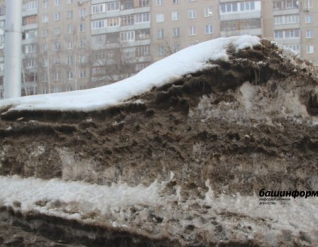 Радий Хабиров поручил очистить города и села Башкортостана от зимней грязи к 1 мая