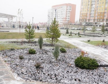 Глава Башкортостана раскритиковал строительство парков «Южный» и «Птицы» и пригрозил наказать виновных