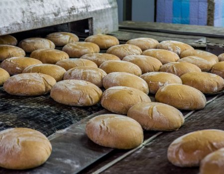 В этом году хлебопекарные предприятия Башкортостана получат серьезную господдержку
