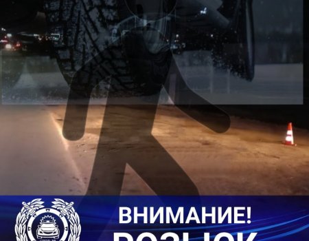 ГИБДД по Башкортостану разыскивает водителя, задавившего пешехода