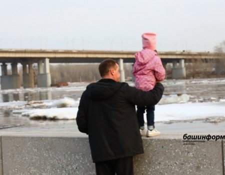 В Башкортостане объявлен конкурс на соискание общественной награды «Отцовская доблесть»