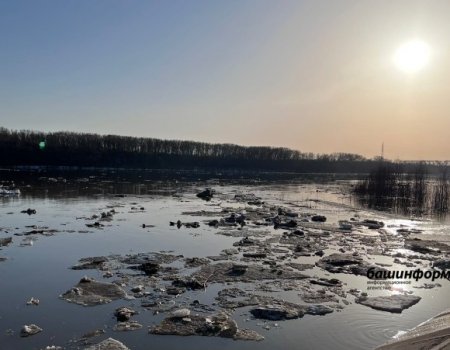 В Башкортостане сообщили о паводковой обстановке на 12 апреля