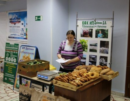 В Башкортостане на гранты по развитию семейных ферм выделено 230 млн рублей