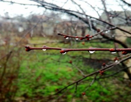 В начале недели Башкортостан ждут дожди, гроза и теплая погода