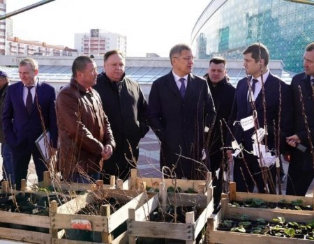 Радий Хабиров предложил ежегодно проводить форум садоводов