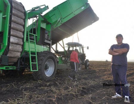 Аграрии Башкортостана получат субсидии на приобретение семян, сельхозхимии, техники и оборудования
