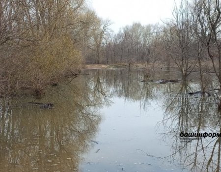 В Башкортостане затоплены пять участков дорог - МЧС