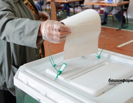 В Башкортостане изменится порядок проведения референдумов