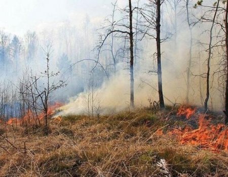 В Бурзянском районе Башкортостана сгорели 6,6 гектара леса