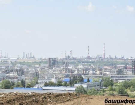 Штрафы за причиненный ущерб экологии в Башкортостане направят на охрану природы