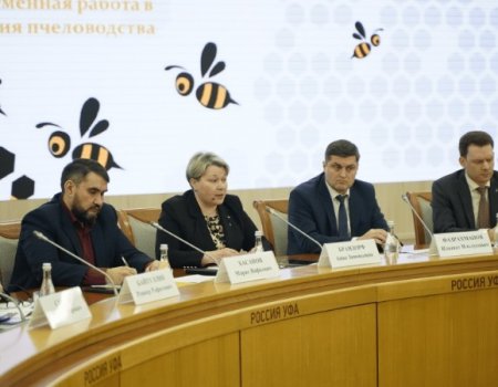 В Башкортостане планируют выдавать субсидии на производство пчелопакетов местной среднерусской породы