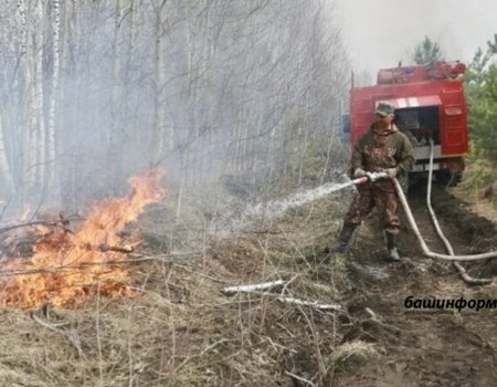 В Башкортостане в 8 км от села Юлук локализован природный пожар