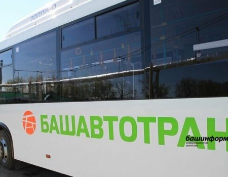 В День поминовения в Башкортостане запустят дополнительные автобусы до кладбищ