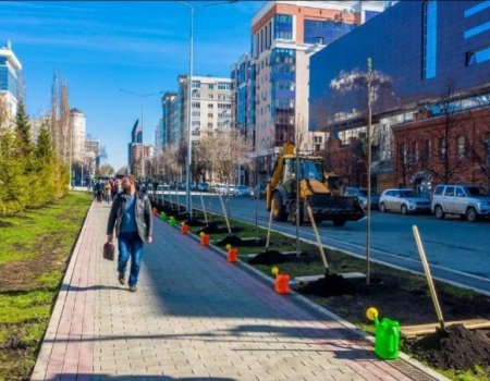 Акция «Зеленая Башкирия» в Уфе: за один день столицу республики украсили 1300 новых деревьев