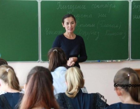 Бюрократическая нагрузка на учителей школ с нового учебного года сократится вдвое - Рособрнадзор