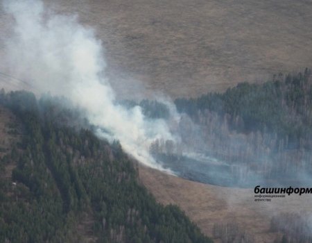В Башкортостане горит еще 11,5 гектара леса
