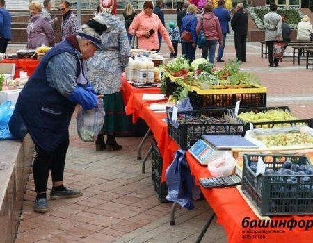 В Башкортостане отменили штрафы за уличную торговлю