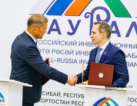 Сотрудничество расширяет границы: что предложит Башкортостан гостям всероссийского инвестсабантуя