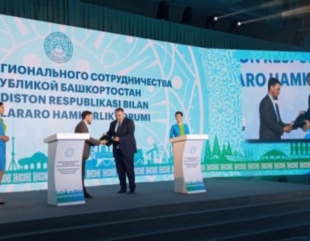Башкортостан и Узбекистан наладили сотрудничество в сфере трудоустройства