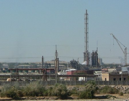 Бизнес Башкортостана и Узбекистана планирует сотрудничество в сфере АПК и химии — ЦСР РБ