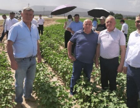 Делегация аграриев Башкортостана участвует в международной бизнес-миссии в Таджикистан