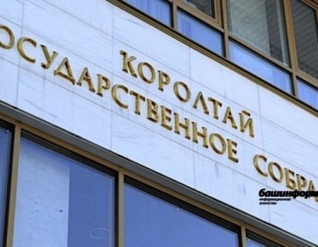 В Башкортостане приняли закон о социальных сертификатах