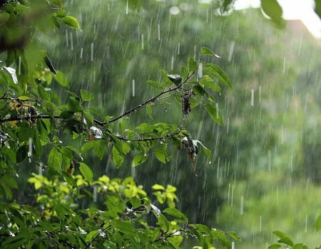 Наступившая неделя в Башкортостане будет прохладной и дождливой