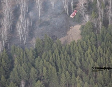 С нарушителей правил пожарной безопасности в лесах Башкортостана взыщут более полумиллиона рублей