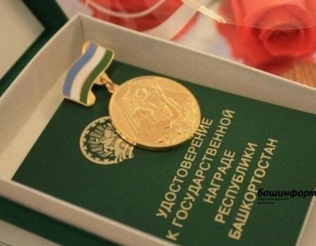 Награжденным медалью «Материнская слава» в Башкортостане будут выплачивать 50 тысяч рублей