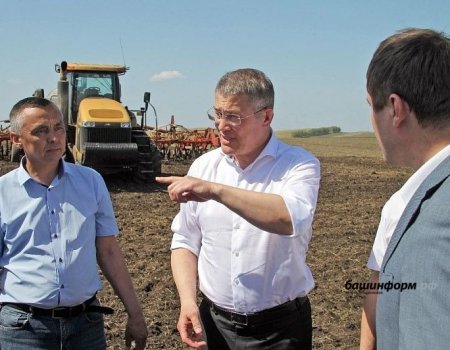 Глава Башкортостана: Сельское хозяйство региона производит больше, чем население потребляет