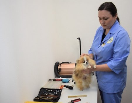 В Уфе открылась новая государственная клиника для животных