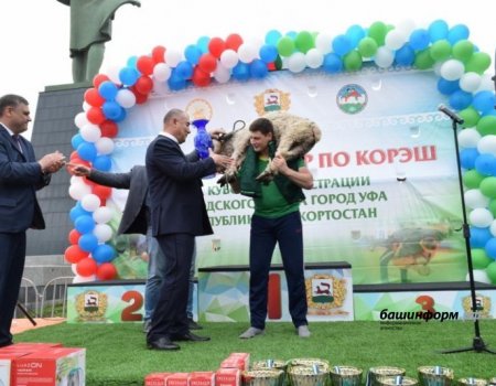 В День города состоялся традиционный открытый турнир по курэш на Кубок администрации Уфы
