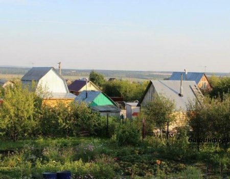 Землю для сельского магазина в Башкортостане можно будет получить без торгов