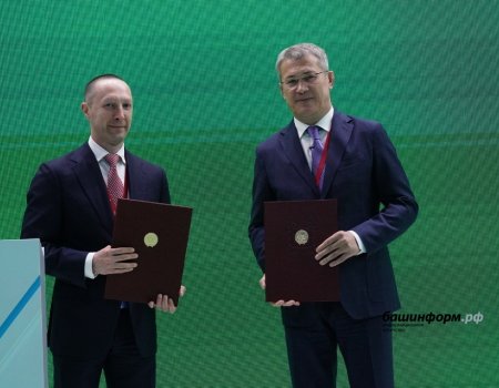 Правительство Башкортостана и университет «Синергия» договорились о взаимодействии в развитии образования