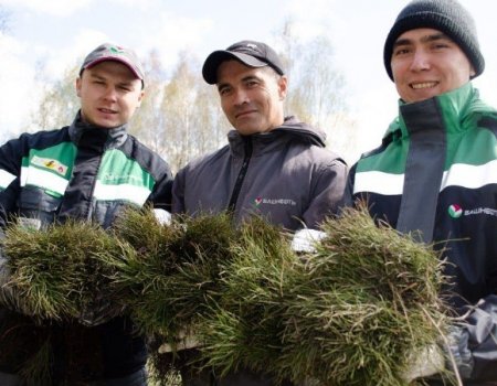 Радий Хабиров рассказал, как обстоят дела с восстановлением леса в Башкортостане