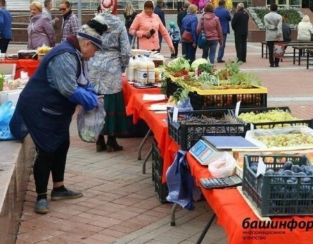 Радий Хабиров возмутился платными торговыми местами для пенсионеров в Башкортостане