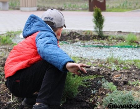 В городах и районах Башкортостана в рамках акции «Сад памяти» высадили более 580 тысяч деревьев