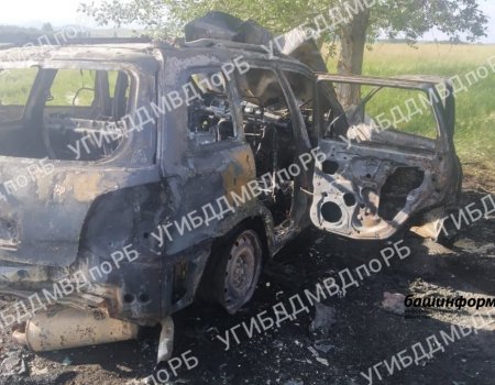 В Башкортостане в загоревшемся после ДТП автомобиле погиб 73-летний пассажир