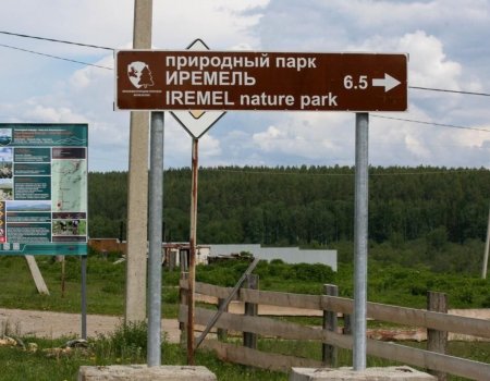 Волонтеры промаркировали 300 километров Большой Южноуральской тропы в Башкортостане
