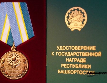 Радий Хабиров подписал указ о награждении семей медалью «Родительская доблесть»