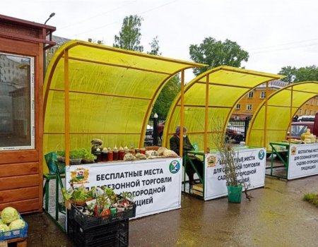 В Уфе актуализировали список бесплатных торговых мест, где садоводы могут продавать свою продукцию