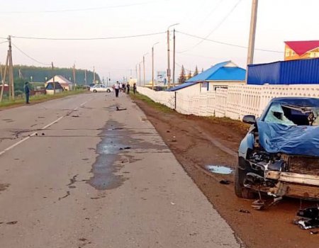 В Башкортостане под колесами Audi A5 погибли четыре девушки-пешехода