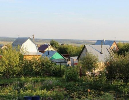 В Башкортостане можно получить землю под сельские магазины и общепит в упрощенном порядке