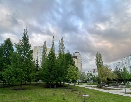 В Башкортостане прогнозируются грозы, град и ливни