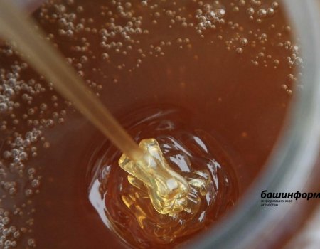Башкирский мед признан одним из самых узнаваемых региональных брендов России