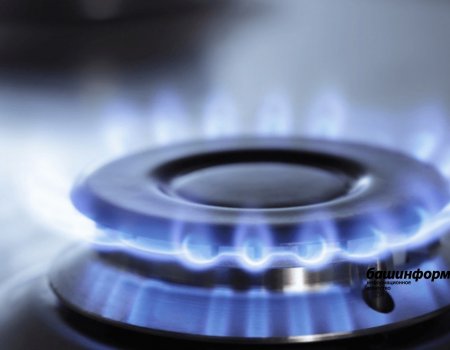 В Башкортостане в газификацию до 2025 года инвестируют 16,5 млрд рублей