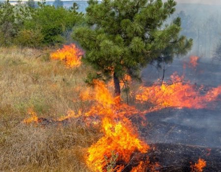 С 27 июля по 1 августа в Башкортостане ожидается чрезвычайная пожароопасность
