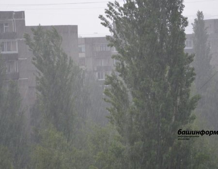 В Башкортостан возвращаются дожди и грозы