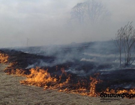 Внимание! МЧС по Башкортостану предупреждает о грозе, тумане и пожароопасности