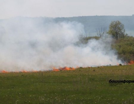 В Башкортостане сохраняется чрезвычайная пожароопасность - МЧС